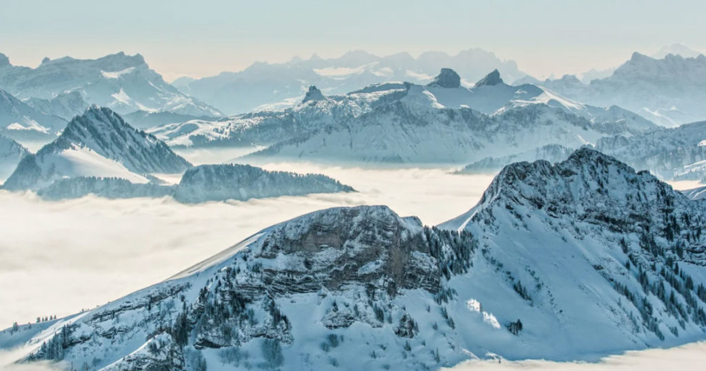 La gruyère